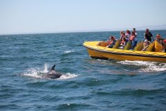 a group of people riding on the back of a boat in the water
