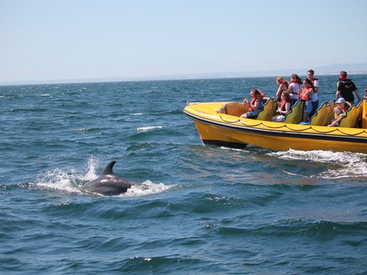 a group of people riding on the back of a boat in the water